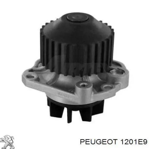 1201E9 Peugeot/Citroen bomba de agua