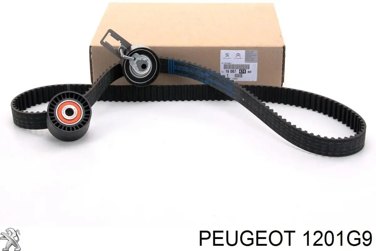 Bombeadora de agua Peugeot/Citroen 1201G9 precio, desde 36,10 EUR