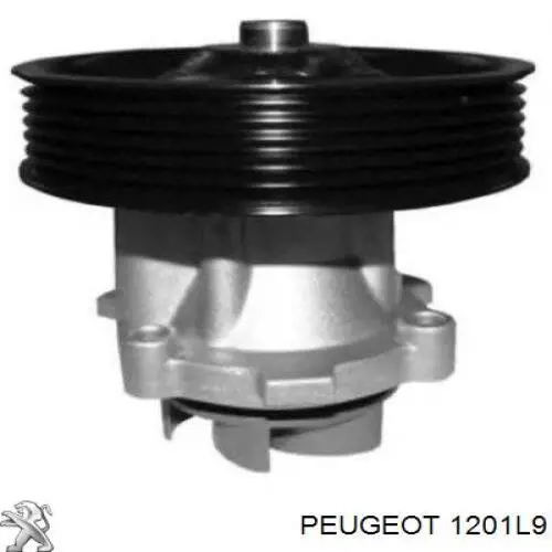 1201L9 Peugeot/Citroen bomba de agua