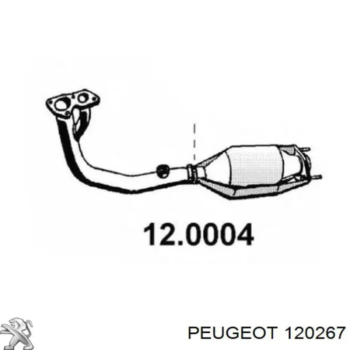 120267 Peugeot/Citroen bomba de agua