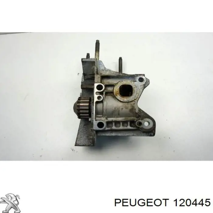Bomba De Agua Refrigeracion De El Motor para Peugeot 207 (WK)