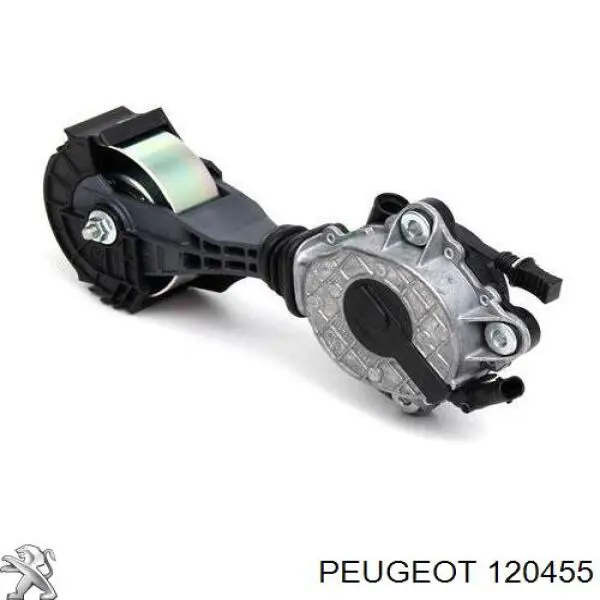 120455 Peugeot/Citroen tensor de correa, correa poli v