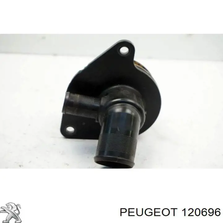 Comprar 120696 Peugeot/Citroen Junta de bomba de agua