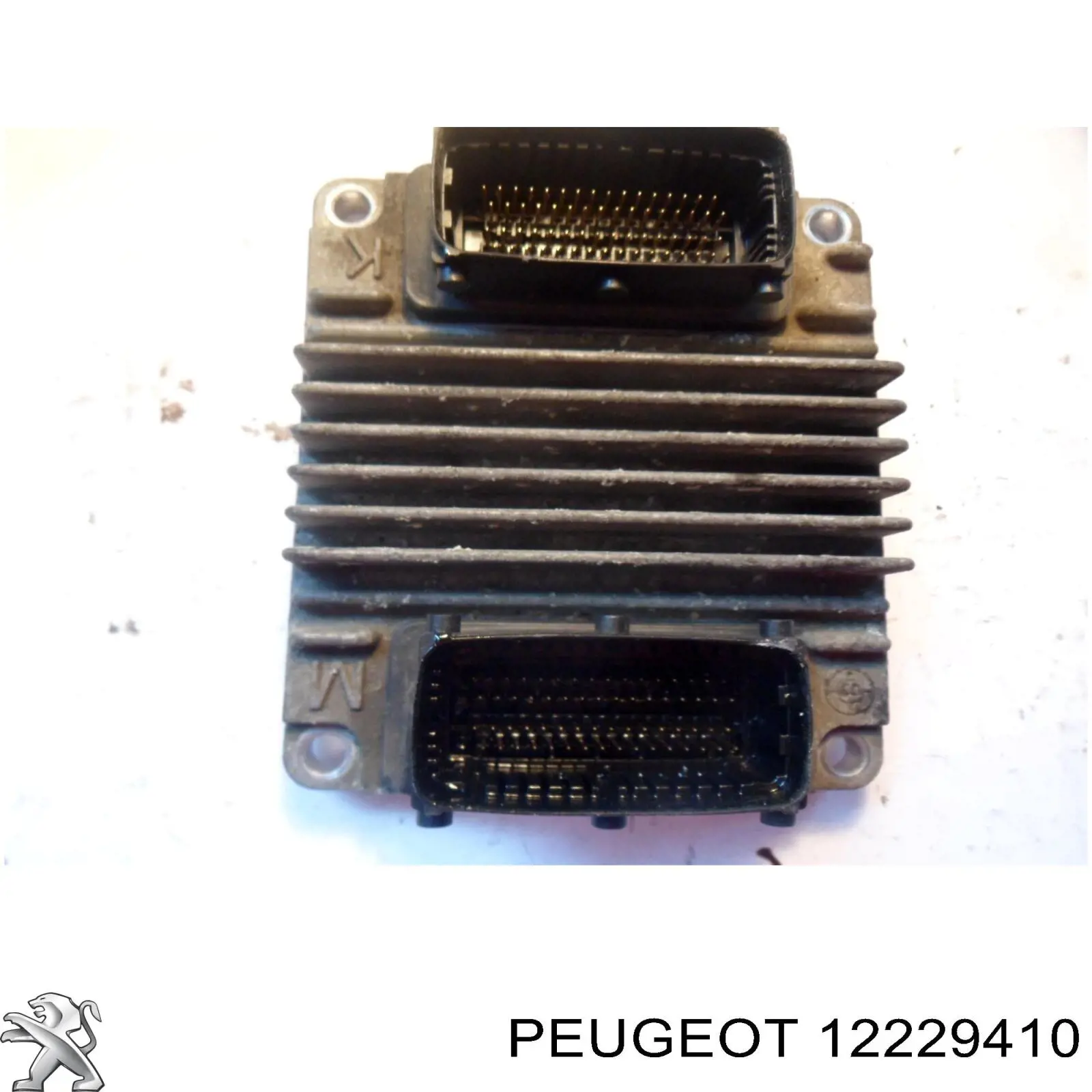 ECU 12249831 General Motors