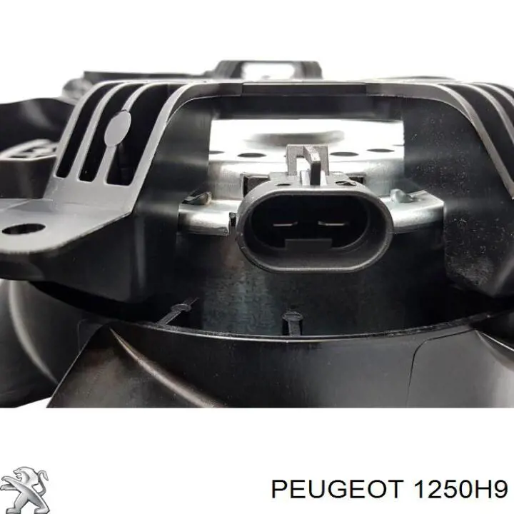 1250H9 Peugeot/Citroen difusor de radiador, ventilador de refrigeración, condensador del aire acondicionado, completo con motor y rodete