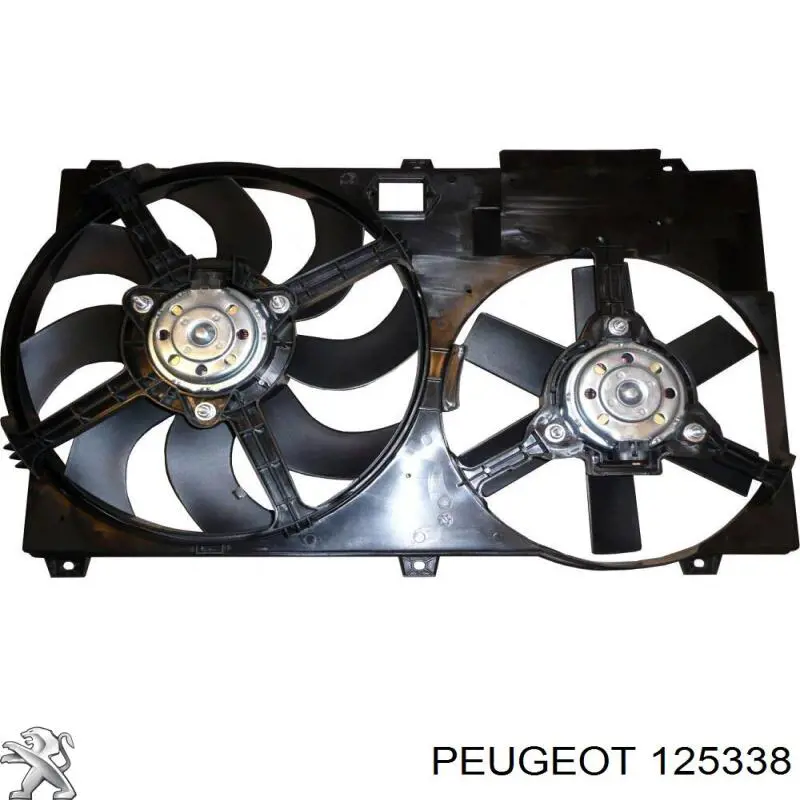 125338 Peugeot/Citroen bastidor radiador