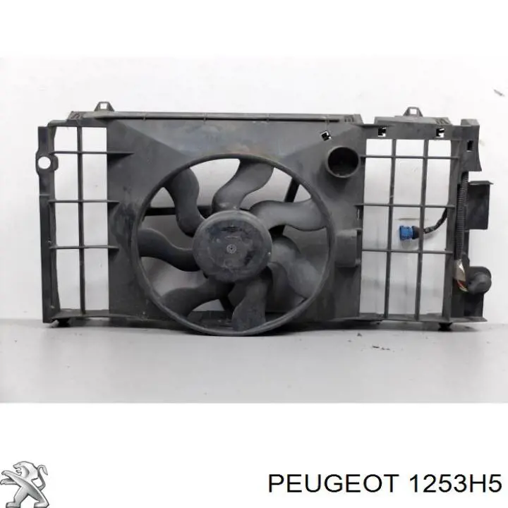 Ventilador (rodete +motor) refrigeración del motor con electromotor completo Peugeot 207 WA, WC
