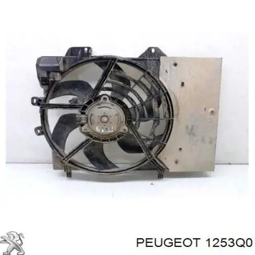 1253Q0 Peugeot/Citroen