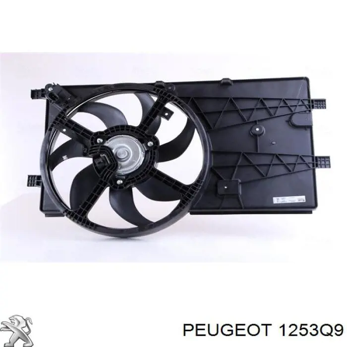 1253Q9 Peugeot/Citroen difusor de radiador, ventilador de refrigeración, condensador del aire acondicionado, completo con motor y rodete