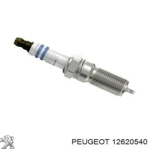 12620540 Peugeot/Citroen Bujía de ignición