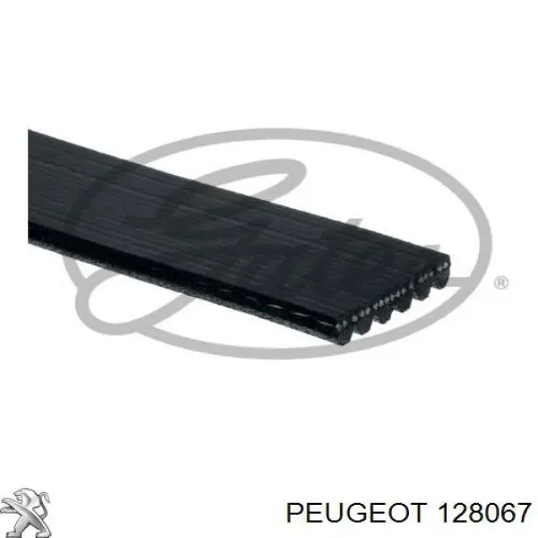 128067 Peugeot/Citroen correa trapezoidal