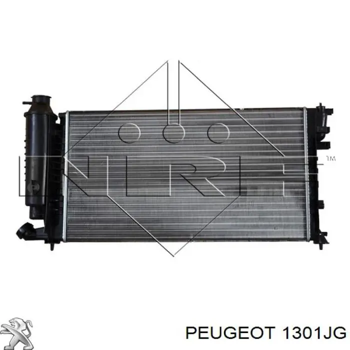 1301JG Peugeot/Citroen radiador