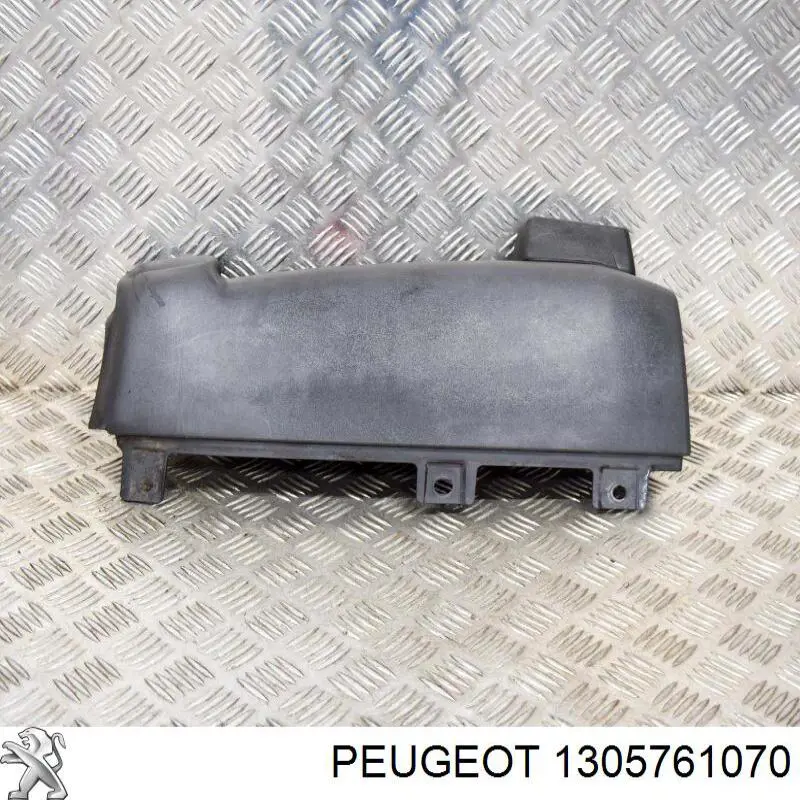 1618045880 Peugeot/Citroen parachoques trasero, parte derecha