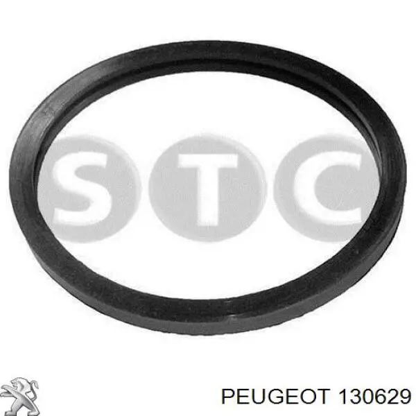 Conector inferior del termostato (acoplamiento rápido) Peugeot/Citroen 130629 precio, desde 8,92 EUR