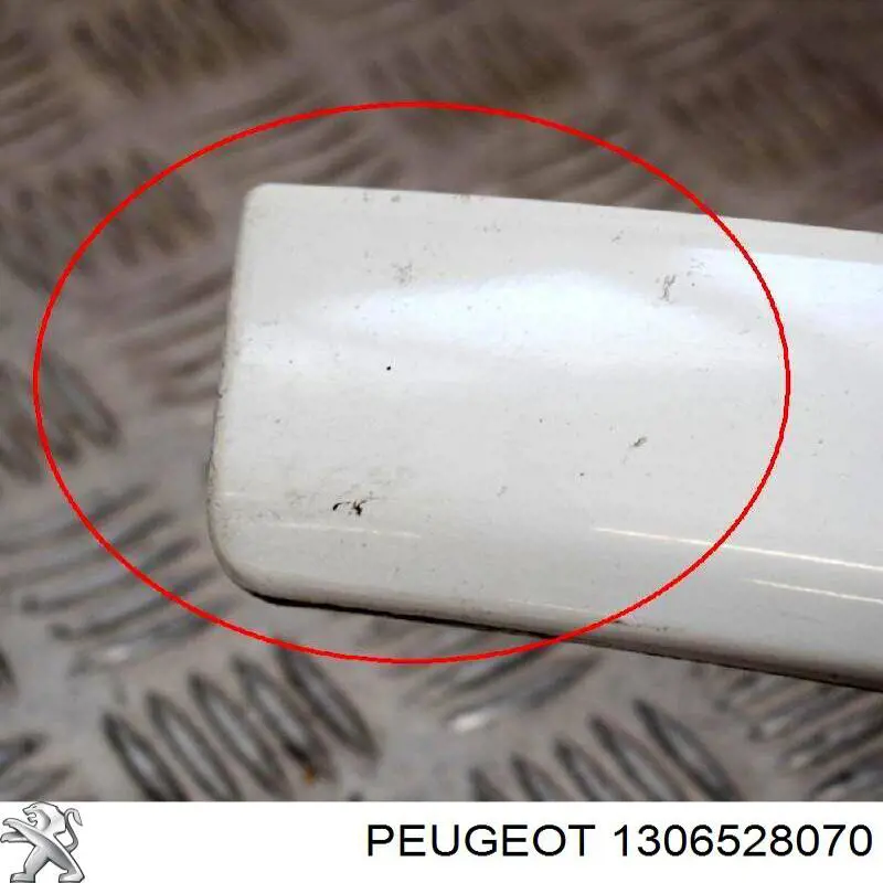  1306528070 Peugeot/Citroen