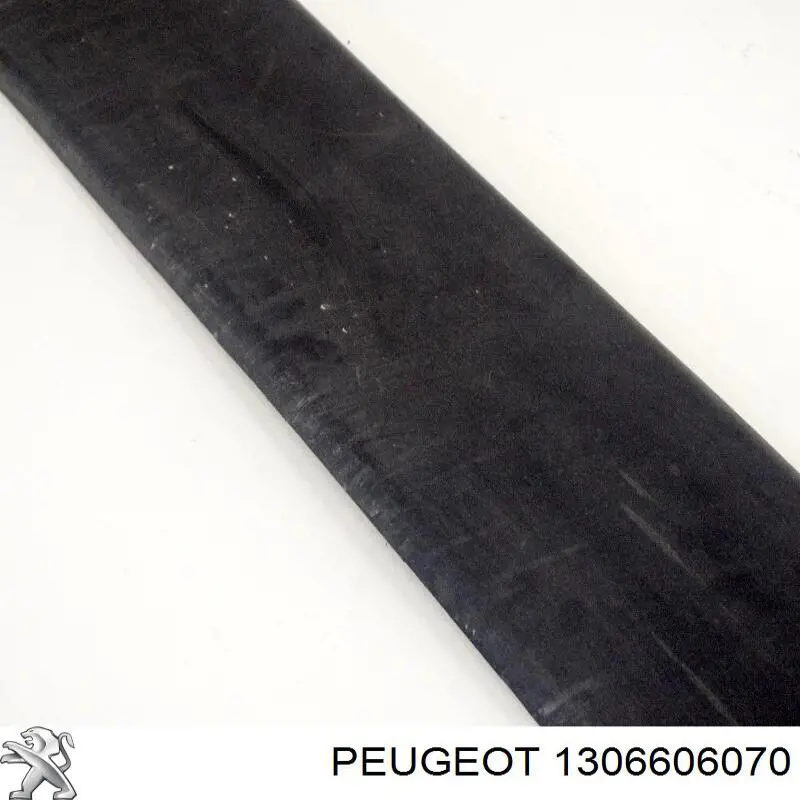 Moldura de puerta corredera Peugeot/Citroen 1306606070 precio, desde 45,01 EUR