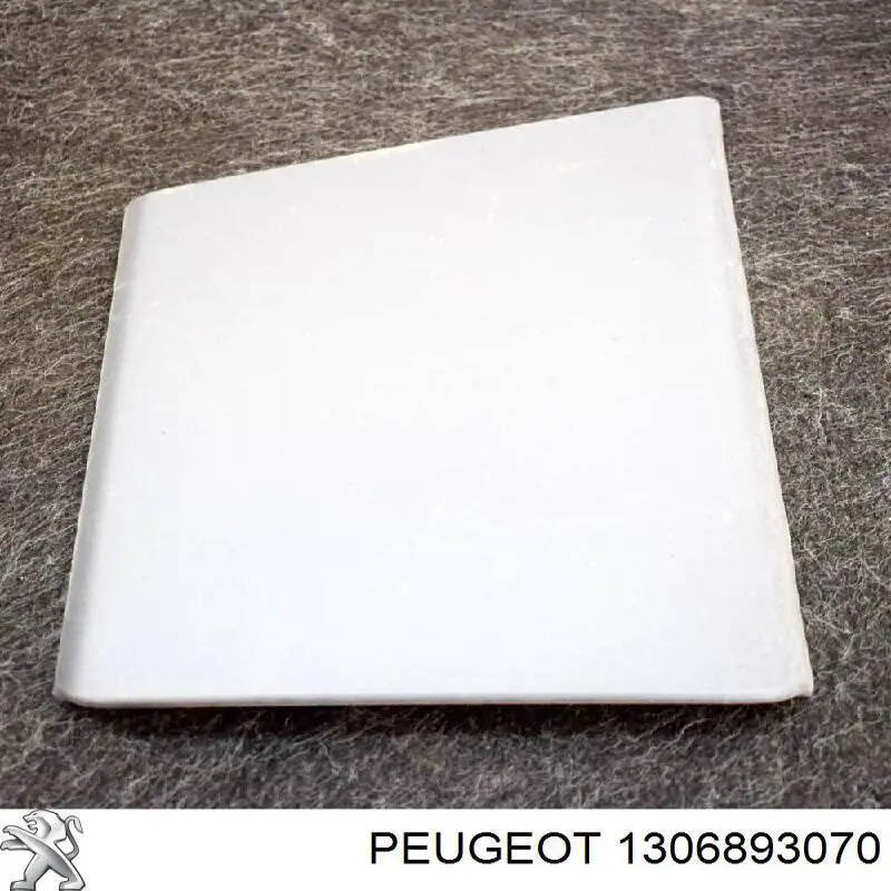  Peugeot/Citroen 1306893070