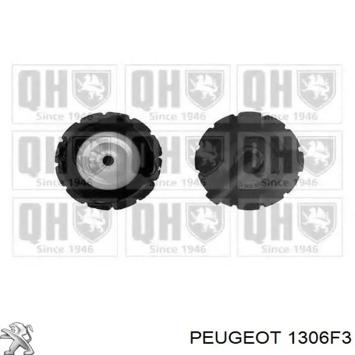 Tapa de depósito de agua Peugeot/Citroen 1306F3