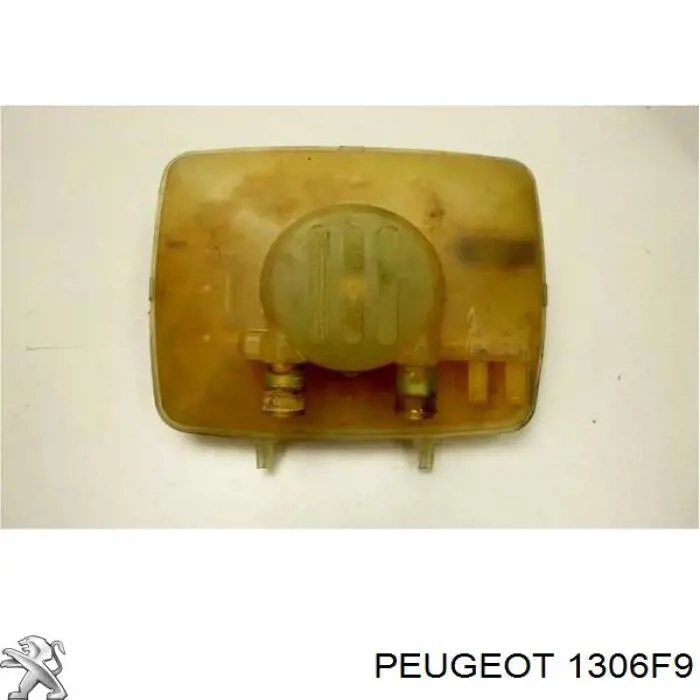  1306F9 Peugeot/Citroen
