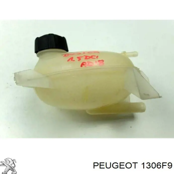 1306F9 Peugeot/Citroen 