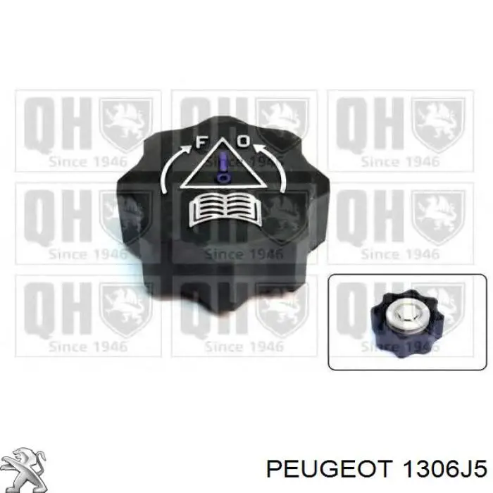 Tapon liquido refrigerante Peugeot/Citroen 1306J5 precio, desde 2,46 EUR