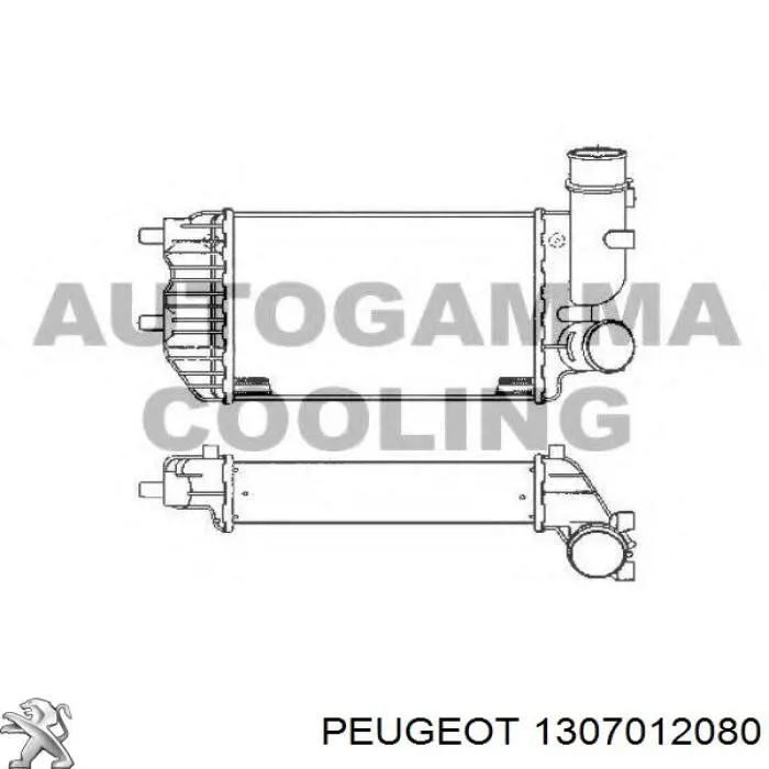 1307012080 Peugeot/Citroen intercooler