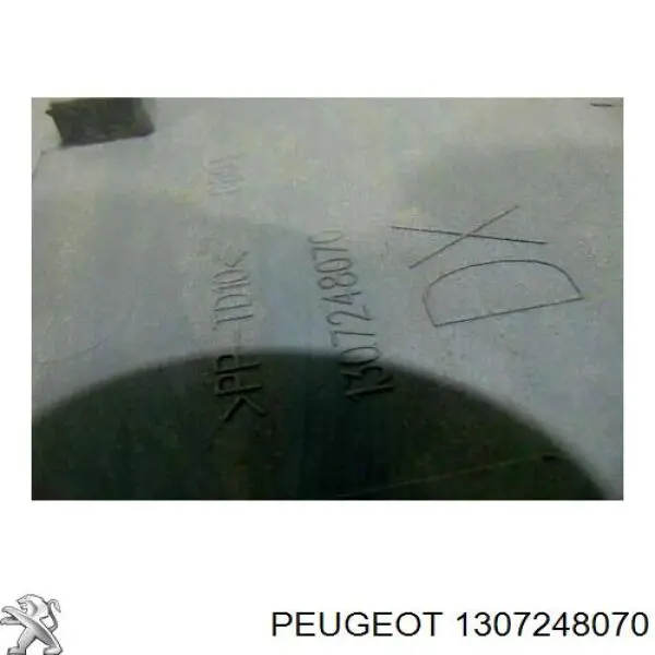 Moldura de puerta corredera Peugeot/Citroen 1307248070 precio, desde 59,91 EUR