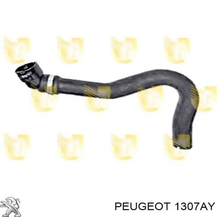 Manguito de líquido refrigerante Peugeot/Citroen 1307AY precio, desde 19,56 EUR