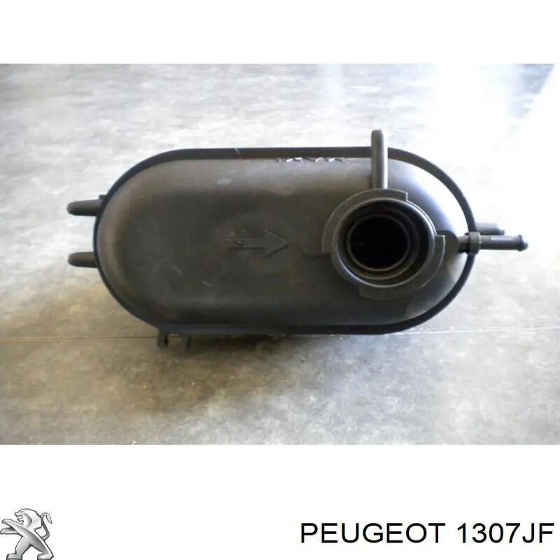 Botella expansion Peugeot/Citroen 1307JF precio, desde 22,40 EUR