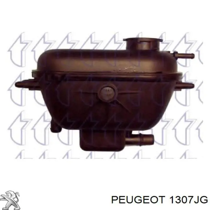 Botella expansion Peugeot/Citroen 1307JG precio, desde 22,40 EUR