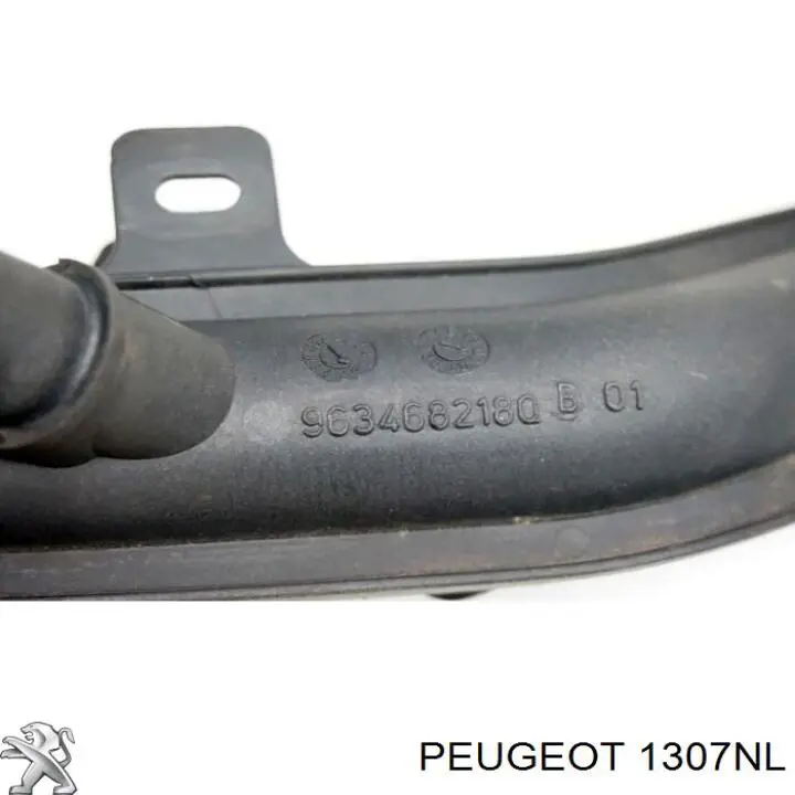 Comprar 1307NL Peugeot/Citroen Manguera de agua refrigerante