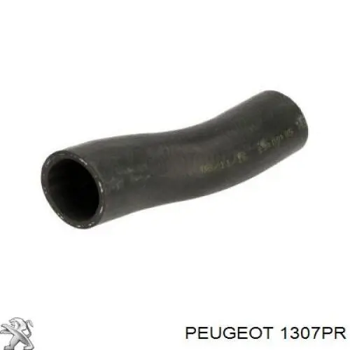 Tubo de refrigeración, termostato para Peugeot Expert (223)