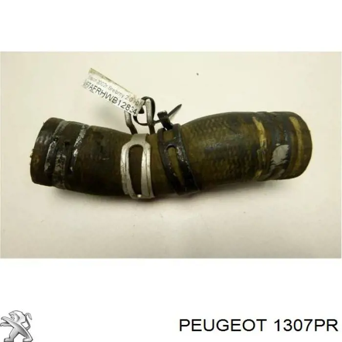 Manguera del termostato Peugeot/Citroen 1307PR precio, desde 5,67 EUR