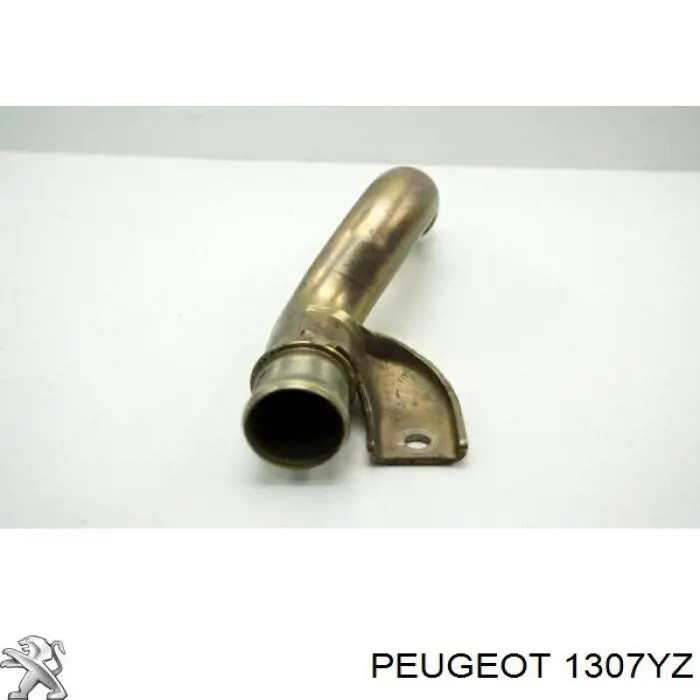 Comprar 1307YZ Peugeot/Citroen Manguera de agua refrigerante