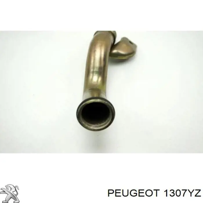 Manguito de líquido refrigerante Peugeot/Citroen 1307YZ precio, desde 13,87 EUR