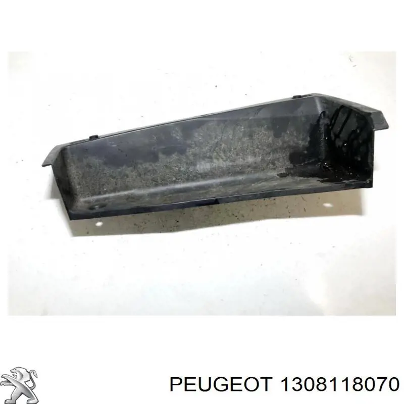Comprar 1308118070 Peugeot/Citroen 