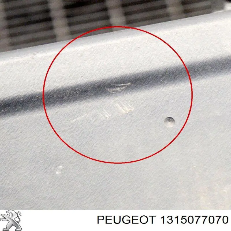 1315077070 Peugeot/Citroen Parachoques delantero, parte central