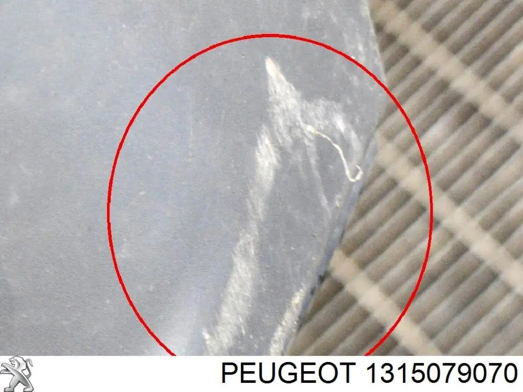 Comprar 1315079070 Peugeot/Citroen Parachoques delantero, parte derecha