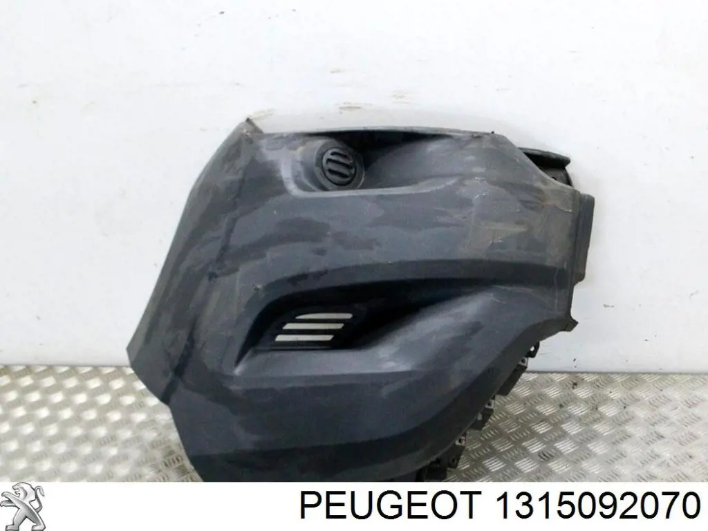 Comprar 1315092070 Peugeot/Citroen Parachoques delantero, parte izquierda