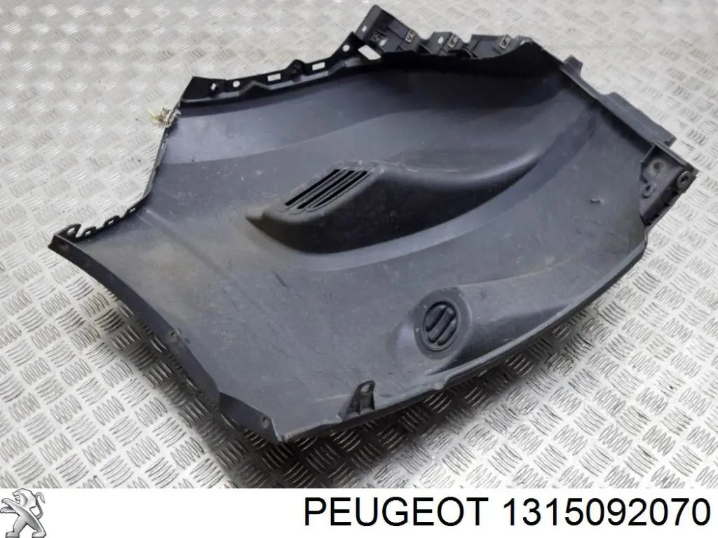 1315092070 Peugeot/Citroen Parachoques delantero, parte izquierda