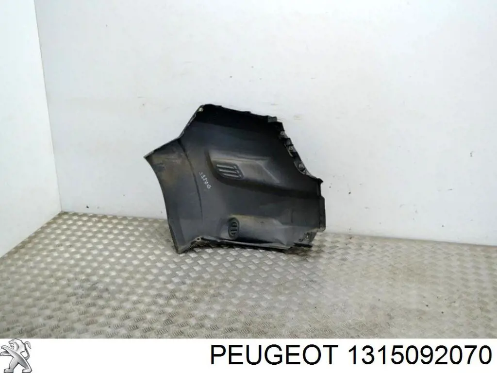 Parachoques delantero, parte izquierda Peugeot/Citroen 1315092070 precio, desde 63,05 EUR