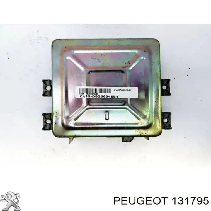 131795 Peugeot/Citroen tubo de refrigeración, termostato