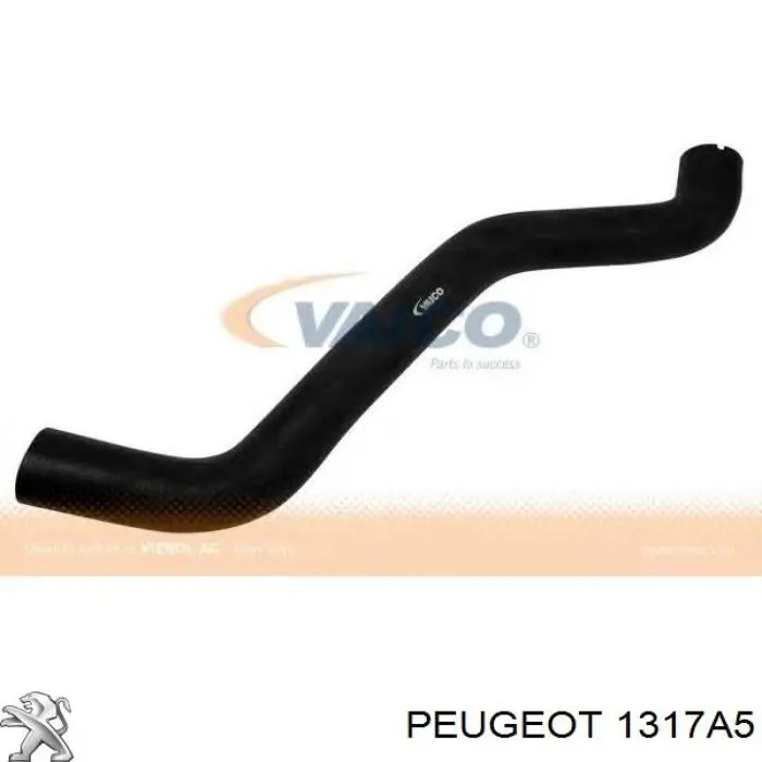 1317A5 Peugeot/Citroen tubería de radiador arriba