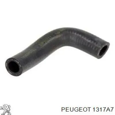 1317A7 Peugeot/Citroen tubo de refrigeración, termostato