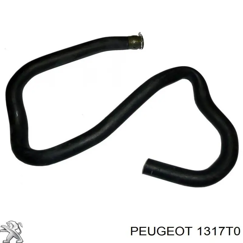 Manguera inferior del vaso de expansión Peugeot/Citroen 1317T0 precio, desde 21,84 EUR
