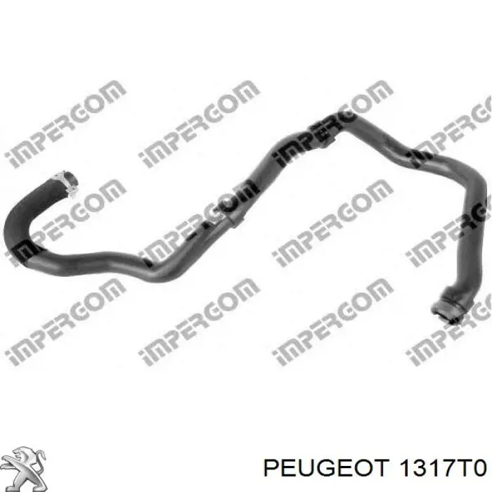 1317T0 Peugeot/Citroen manguera (conducto del sistema de refrigeración)