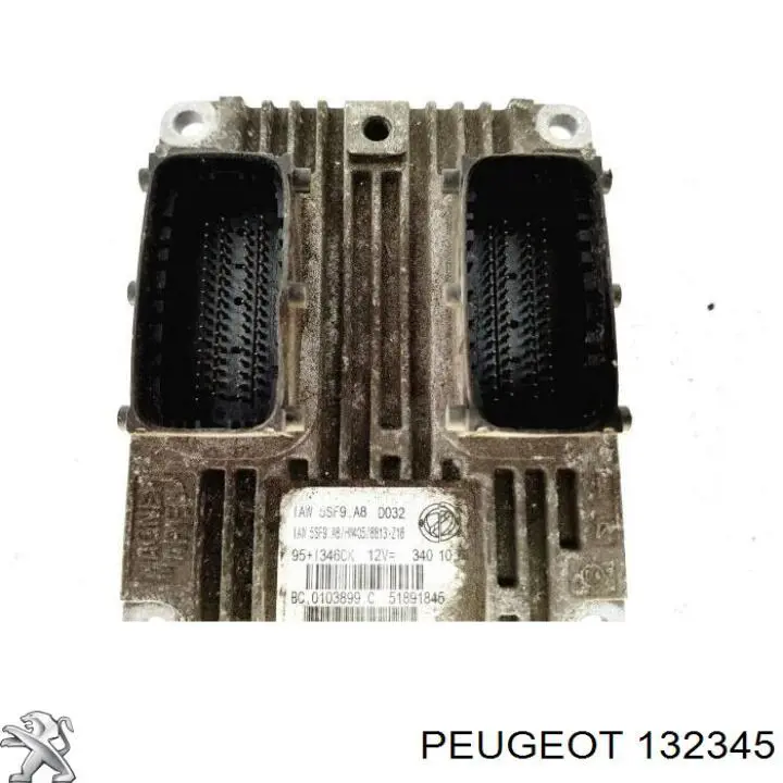 132345 Peugeot/Citroen