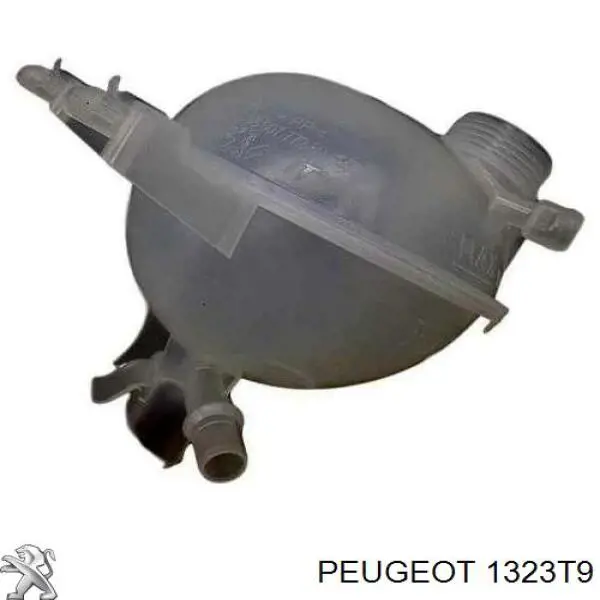 Comprar 1323T9 Peugeot/Citroen Deposito expansion