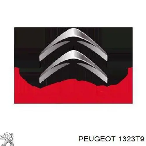 Botella de expansión Peugeot/Citroen 1323T9