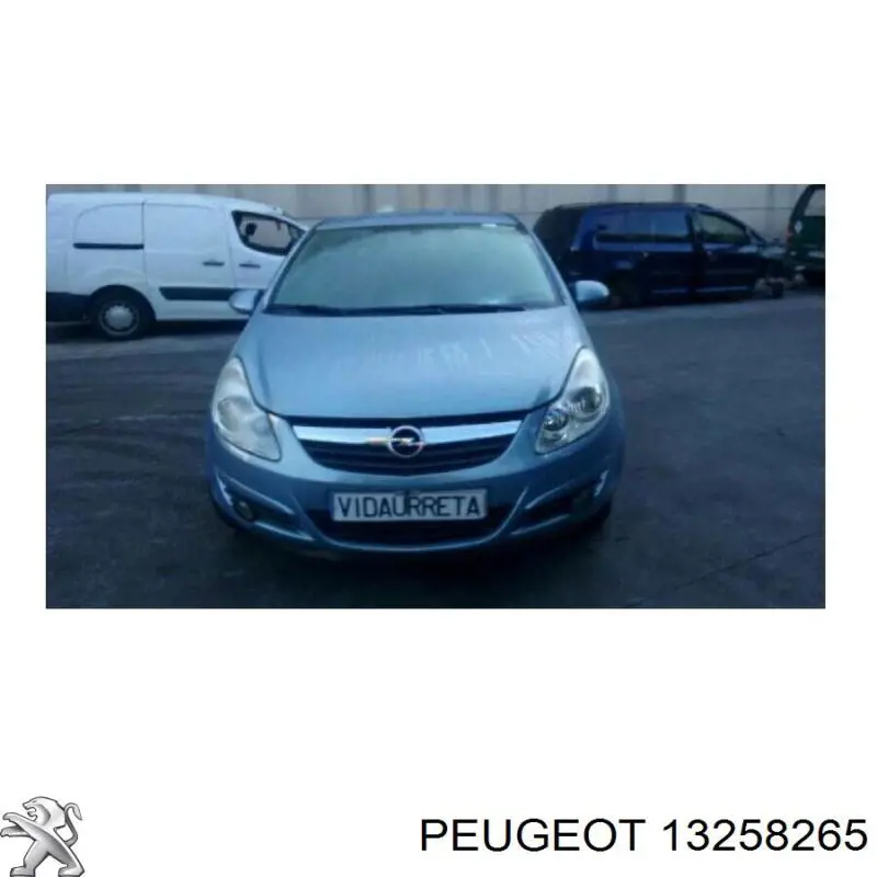 13258265 Peugeot/Citroen cerradura de puerta trasera izquierda